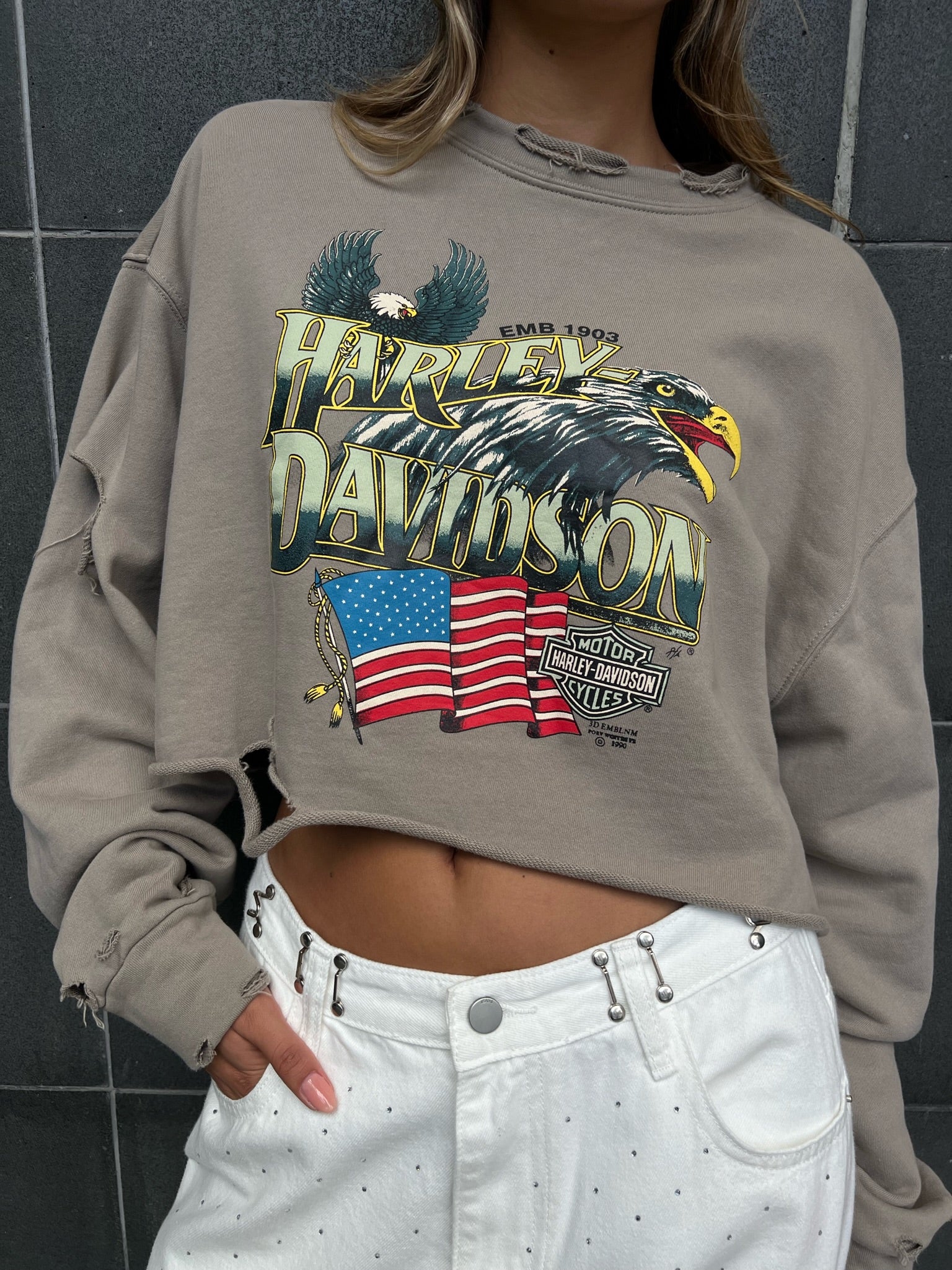 סווצר תיאה בג